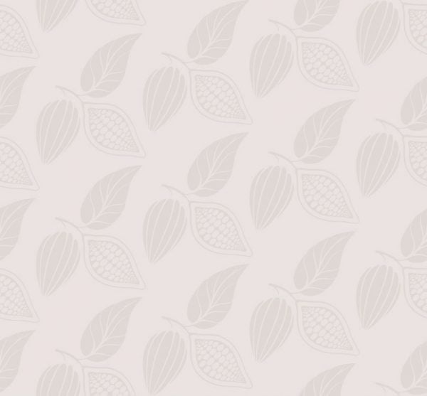 chocola-pattern-illustration-web-design chocola-pattern-illustration-web-design