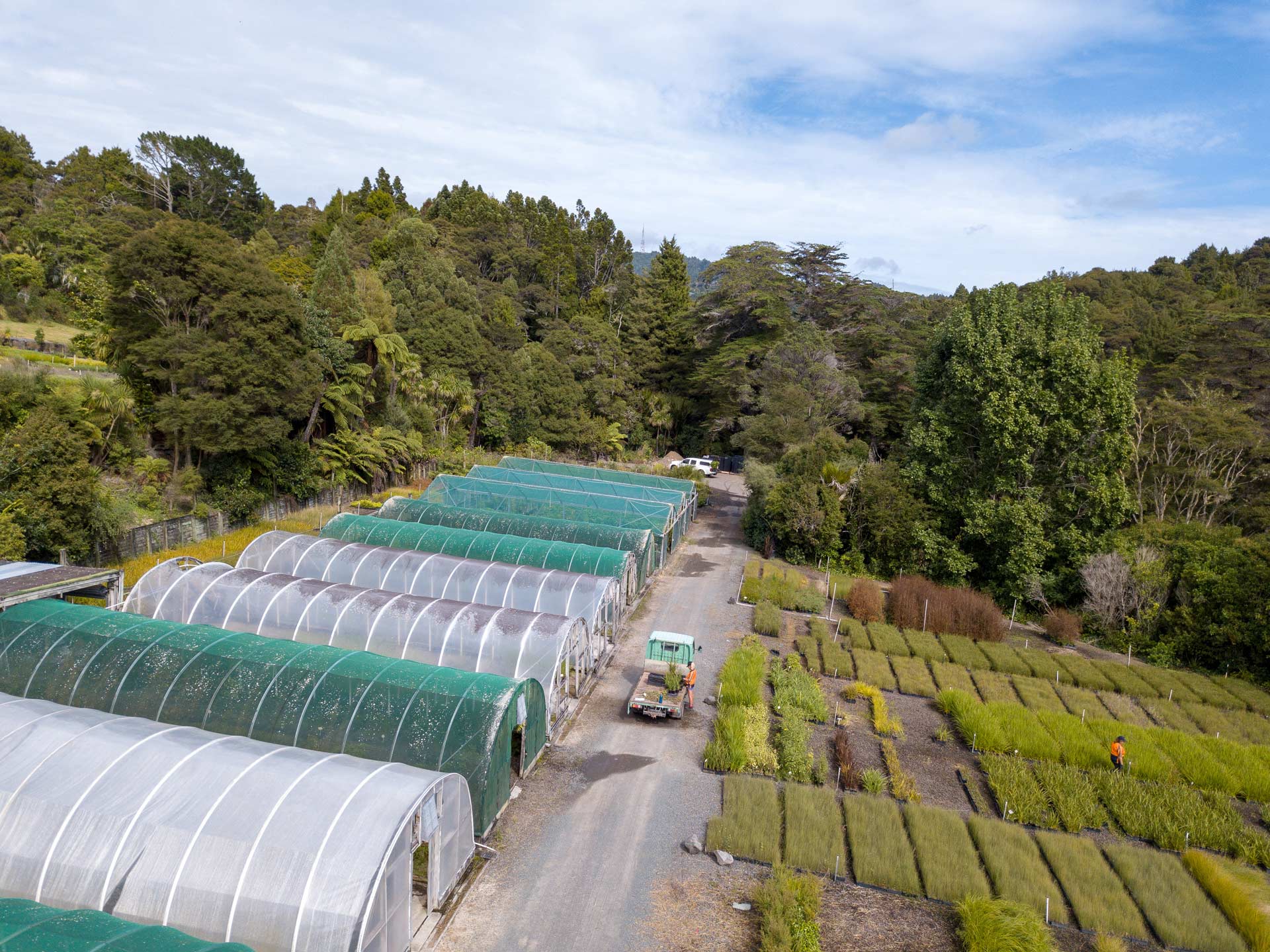 signature-plants-photograhy-oratia-DJI_0081