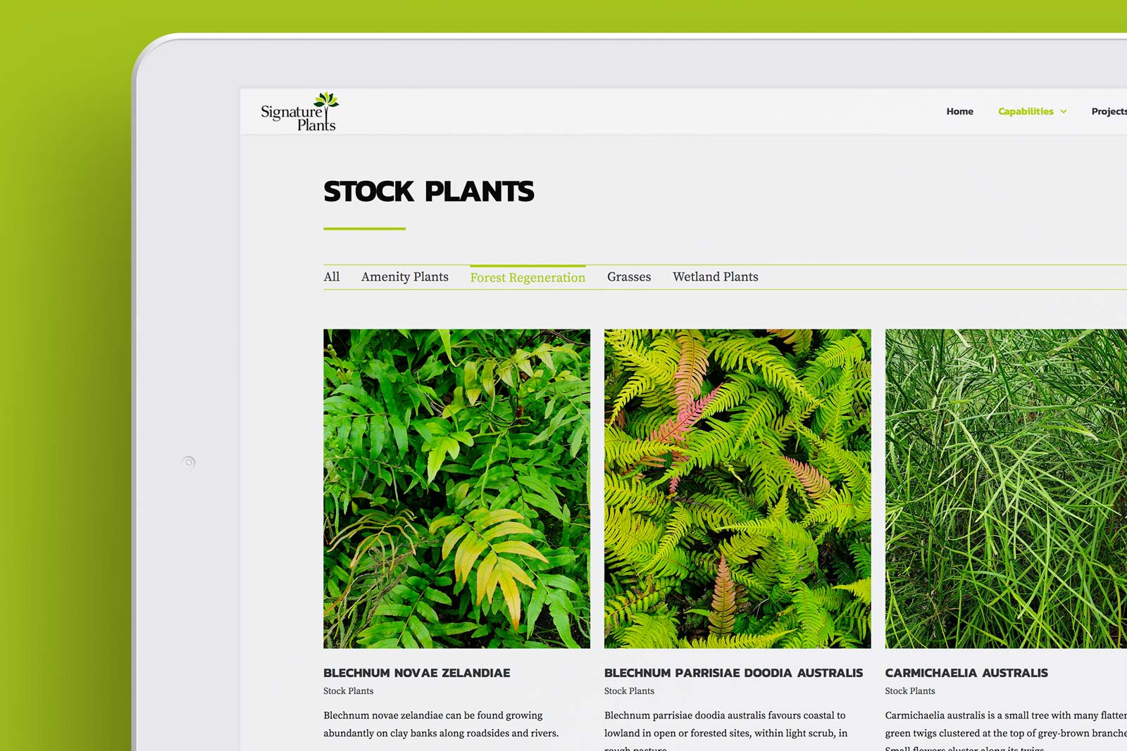signature-plants-web-development-ipad-cropped